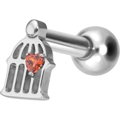 PIERCINGLINE  Piercing Stecker Titan Ohrpiercing mit Gewinde KÄFIG