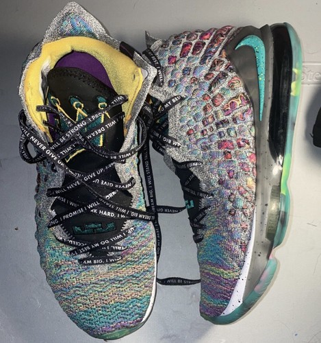 lebron 17 ebay