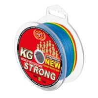 Wft New Exact 39KG 0,25Mm 360M Multicolor Geflochtene-Angelschnur