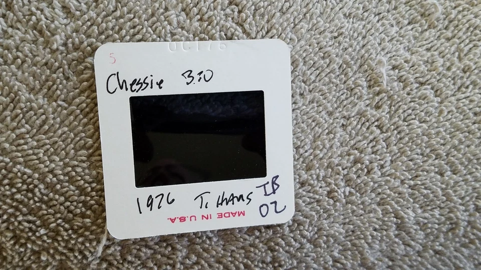 XTB02 35MM Train Slide ENGINE LOCOMOTIVE RR CHESSIE B & O 1976 T. HAUS - Изображение 2 из 2