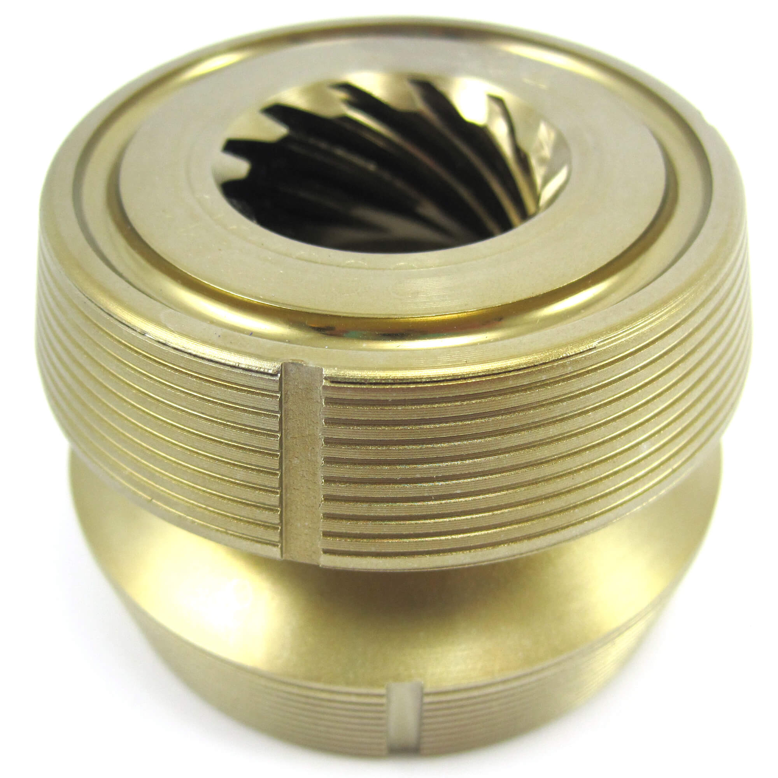 This image has been resized. Click this bar to view the full image. The  original image is sized %1%2.