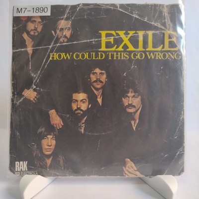 Exile   How Could This Go Wrong, 7'' Vinyl (F/F), RAK, M7-1890