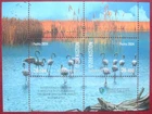 Uzbekistan  2024  Birds  Flamingo   S/S   MNH