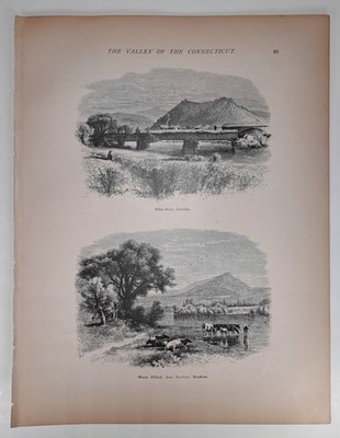 White-River Junction & Moose Hillock Newbury VT- 1874 Ant Vic. Printed Engraving