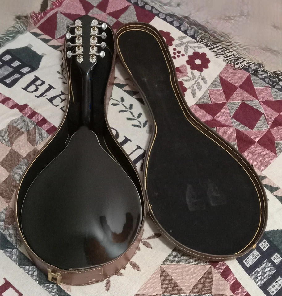 J Reynolds Mandolin  JRMAN 30 with case, pick - Image 3 of 4