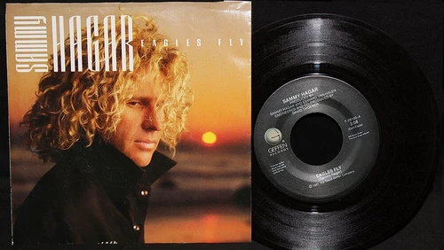 Sammy Hagar-Eagles Fly-Hands & Knees-geffen 7-28185-VTG 1987 Picture Slv 45-NM!!