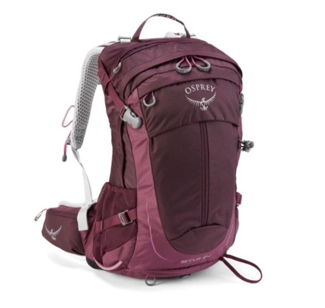 osprey 24l backpack