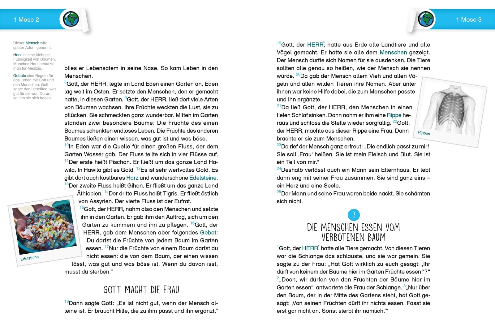 Thumbnail - Die Bibel. Übersetzung Für Kinder. Einsteigerbibel | Buch | Deutsch