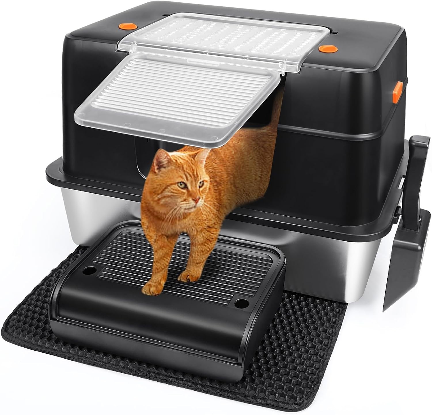 For Large Cats &ndash; Stainless Steel With Accessories