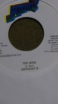 Hit Track Sidewalk University Riddim Tek Wine Anthony B from Jam