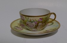 Antique Royal Rudolstadt Hand Painted Rose Cup Saucer Made in Prussia