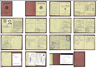 1955 Rare Mexico Spanish artistic family's life in exile ID Document Lot of Visa