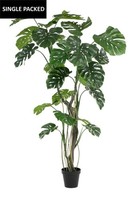 Artplants KüNstlicher Philodendron Tanieso, Kunststamm, Luftwurzeln, 210Cm