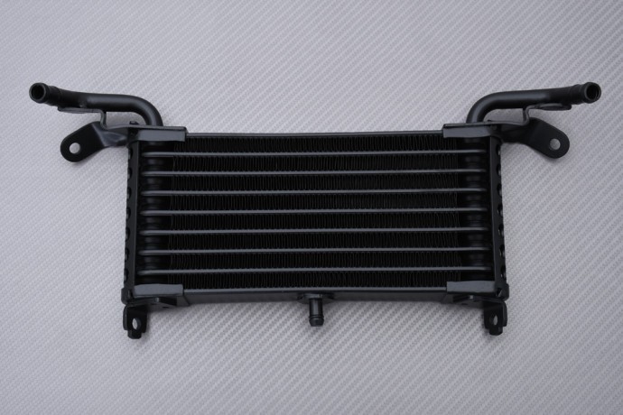 Radiateur d huile aluminium pour remplacer la pièce origine usée sur BMW S1000 RR