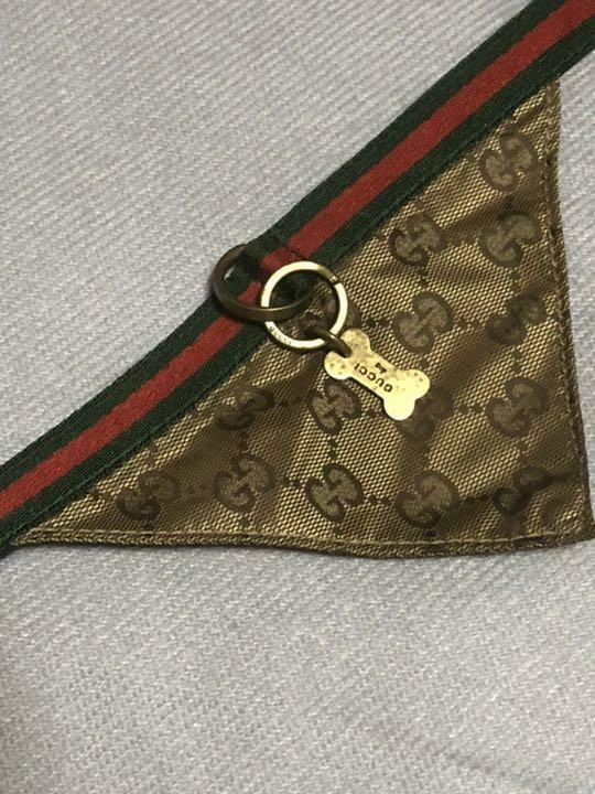 Gucci clearance dog scarf