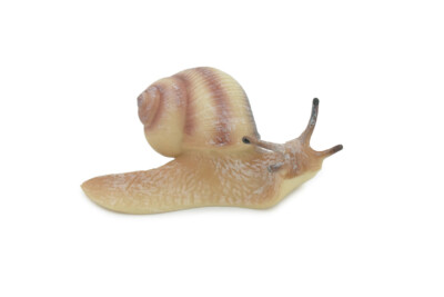 Snail, Land, Realistic, Hand Painted, Figure, Lifelike, Toy, 3.5'' CH570 BB162