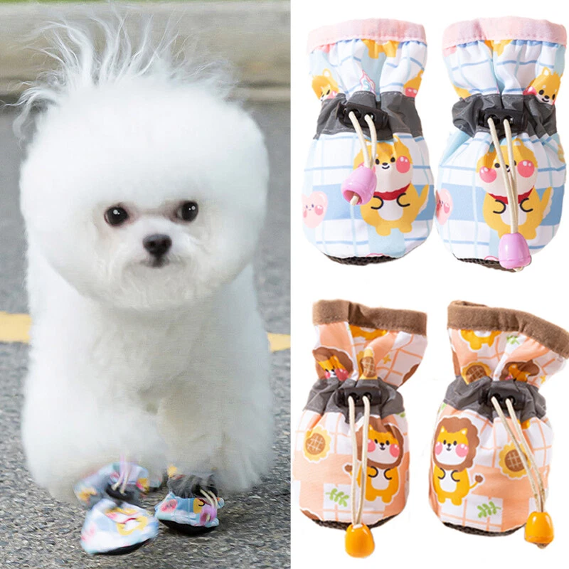 Shoes for pomeranian clearance dogs