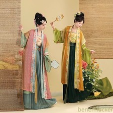 Ancient Chinese Traditional Women Song Dynasty Embroidery Print Hanfu Dress