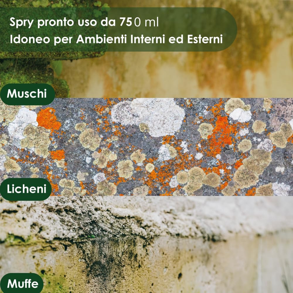 Offerta Spray Antimuffa 750ml - Rimuove Muffa e Alghe Professionale - 2