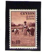 Ceylan Agriculture Valeur De Année 1954 (V-748)