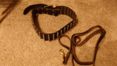 Dean & Tyler Dog Collar with Beautiful Brass, Genuine Leather