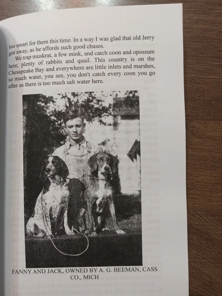 Cooning with Cooners  Coon Hunting Hound training Fur Fish Game Hunting Trapping - Image 4 of 4