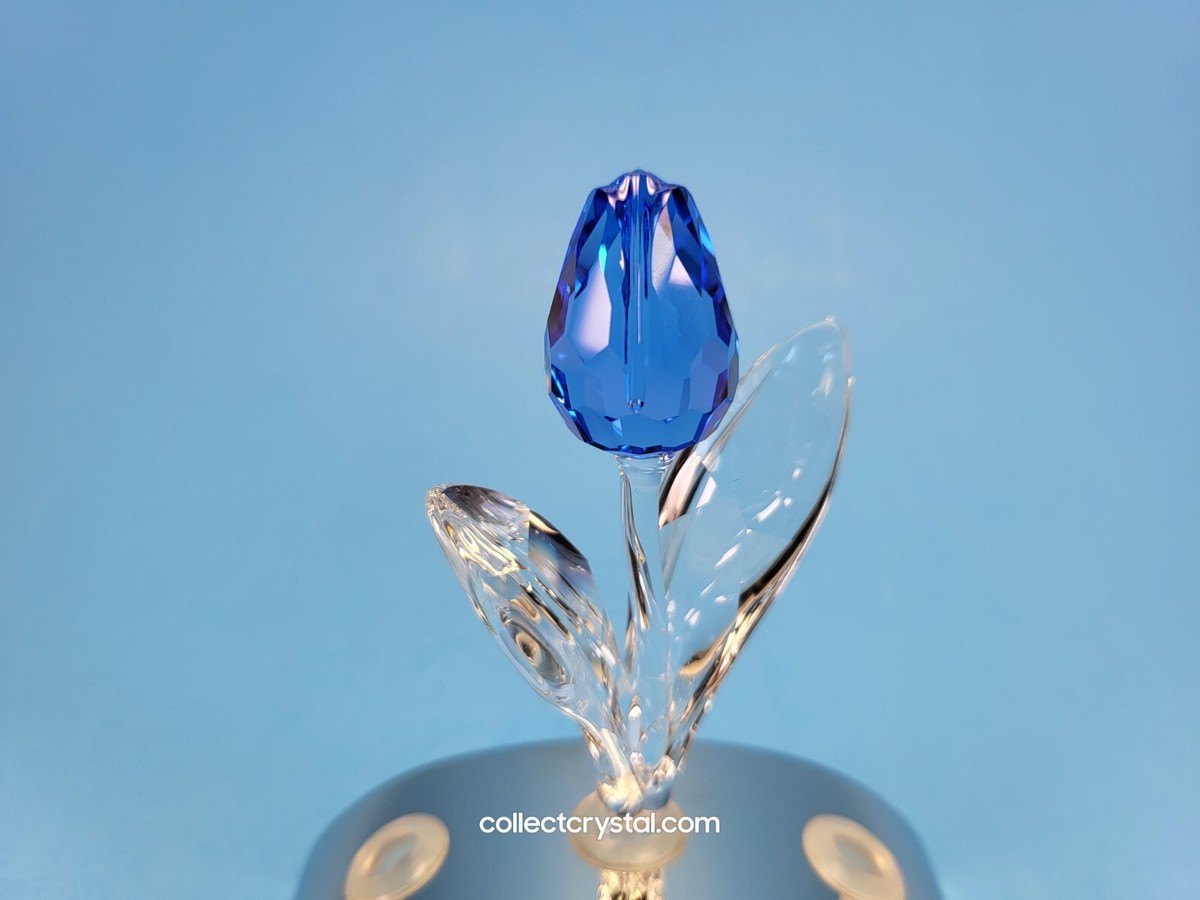 スワロフスキー　会員限定品　チューリップ スワロフスキー SCS会員限定品 チューリップ SWAROVSKI 【公式通販】