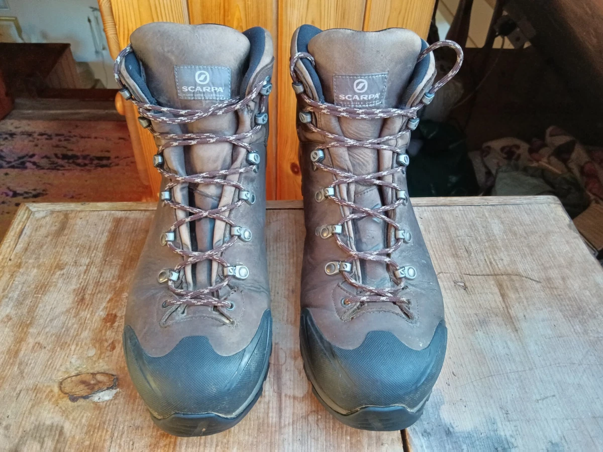 Kailash plus hotsell gtx