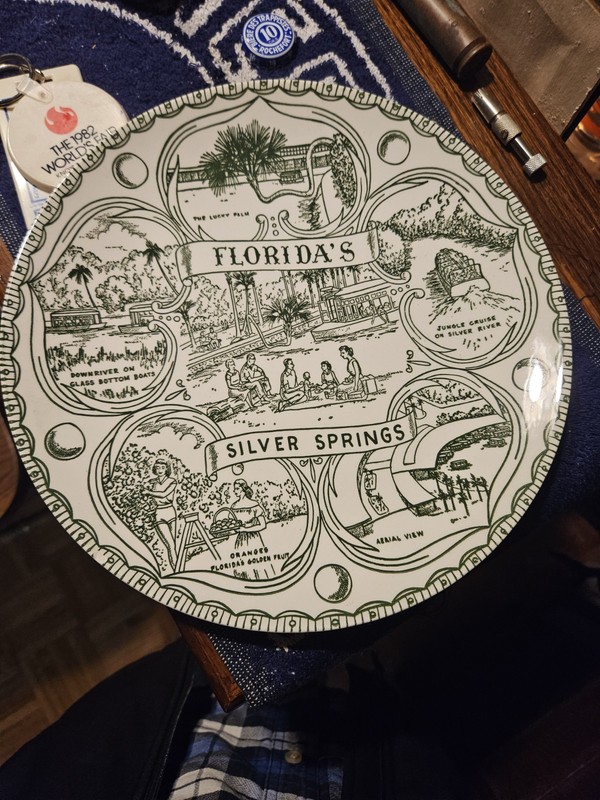 Silver Springs Florida Collectors Plate 1960's 9"