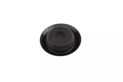Genuine GM Body Access Plug 22579564