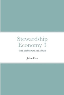 Julian Pratt Stewardship Economy 3 (Taschenbuch)