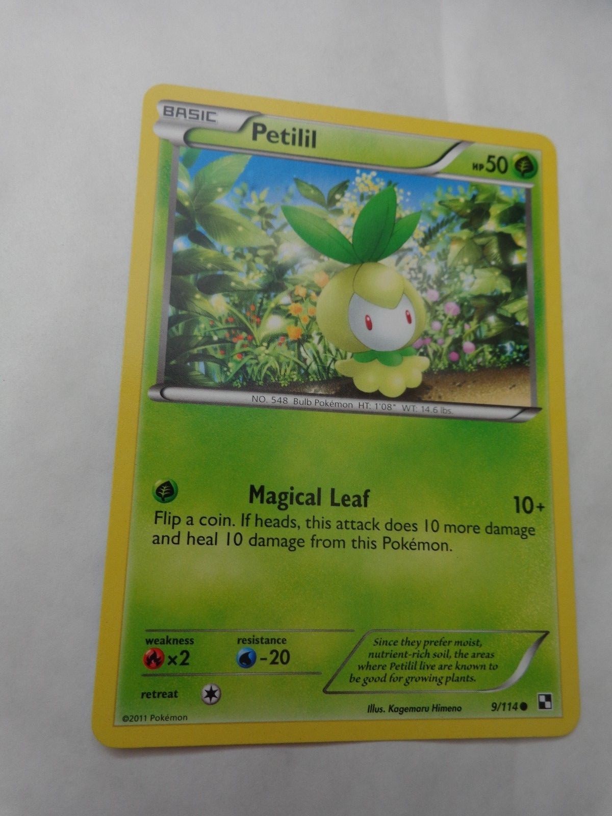 COMMON PETILIL 9/114 BLACK & WHITE SET POKEMON CARD GO MINT