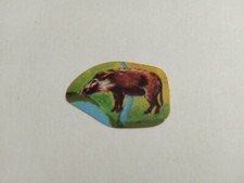 FIGURINA IL MONDO DEGLI ANIMALI ED. SUPER RAF 1973 n 261 DA RECUPERO