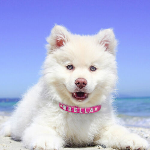 Rhinestone Dog Collar With Name Charms For Small Large Medium Dogs Bling Pink - Picture 6 of 20