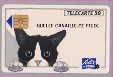 TELECARTE 50 UNITES PRIVEES PUBLIQUES FELIX DE FIDO   EN 319  VIDE
