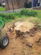 Stump Grinding Service, Tree Stump Removal - Cheshire and The Wirral 