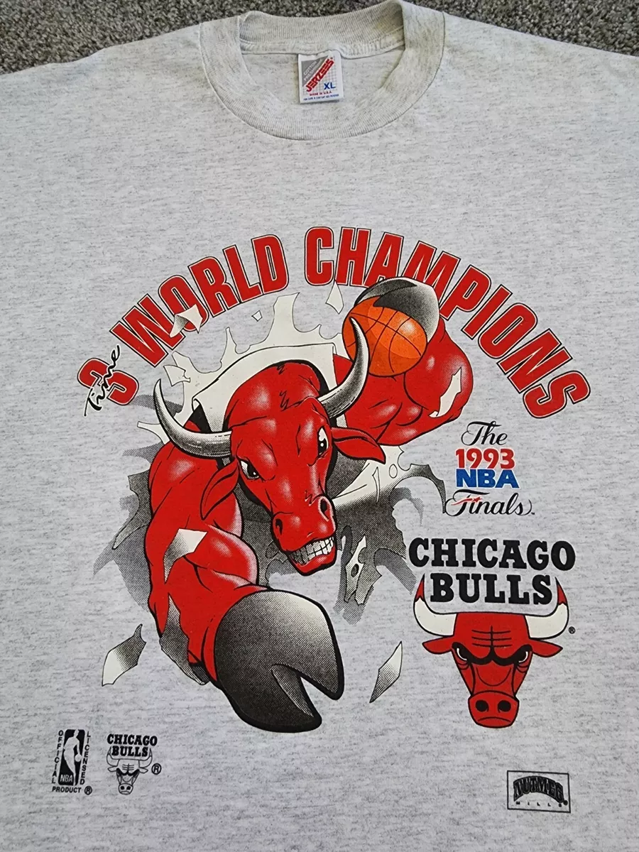 Shirts, Vintage 1993 Chicago Bulls 3 Time Nba World Champs Michael T Shirt