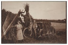 XX2652/ Landwirtschaft Bauern Heuernte Pferdefuhrwerk Foto AK 1929