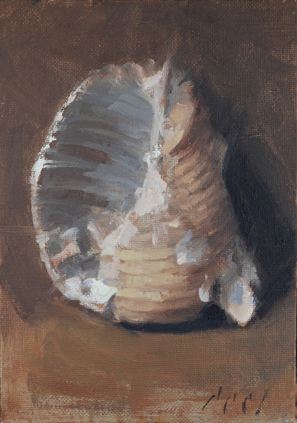 Original Still life Oil Painting a Day Seashell 5x7 Contemporary Realism Signed
