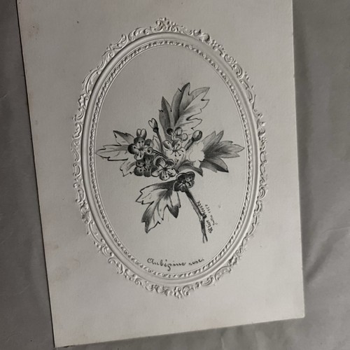 Antique 19th 1857 drawing French Pencil Paper Floral Embossed Paper 5”X7” - Picture 5 of 5
