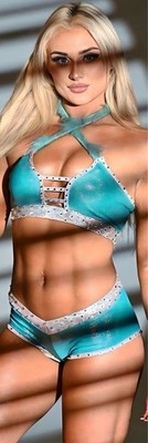 WWE GIANT 2 X6  VINYL BANNER -  TIFFANY STRATTON