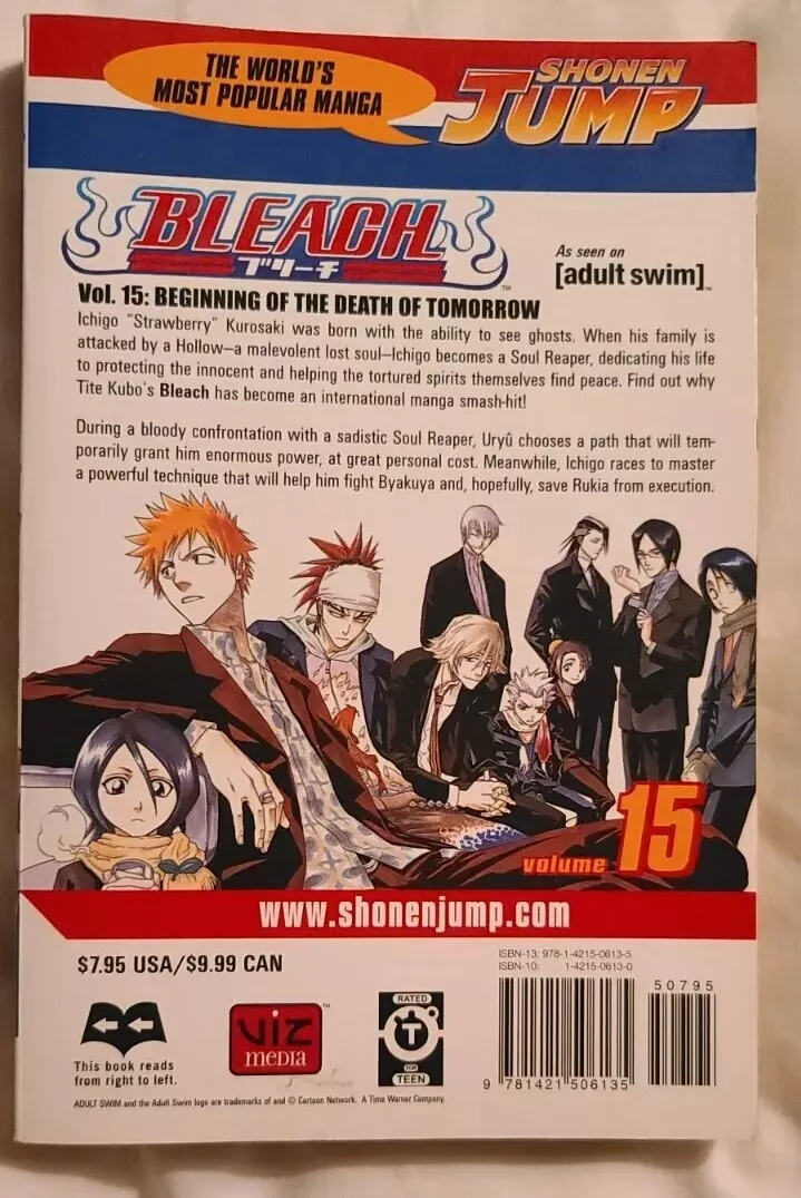 Bleach - volume 15