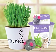 Garden State Bulb Cat Grass Herb Kit with Mouse Toy and Meow Planter (2 Pack)