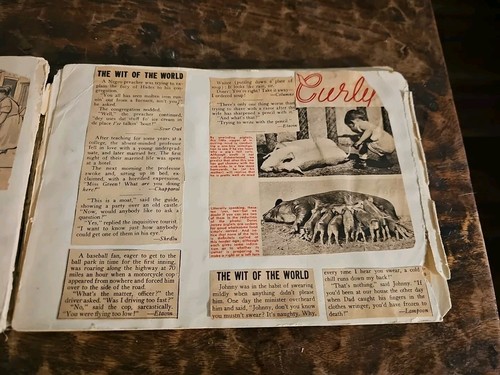 Vintage Scrapbook Wit Of The World Newspaper Column And Comic Strips - Picture 18 of 20