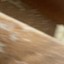 Picture 4 of 6