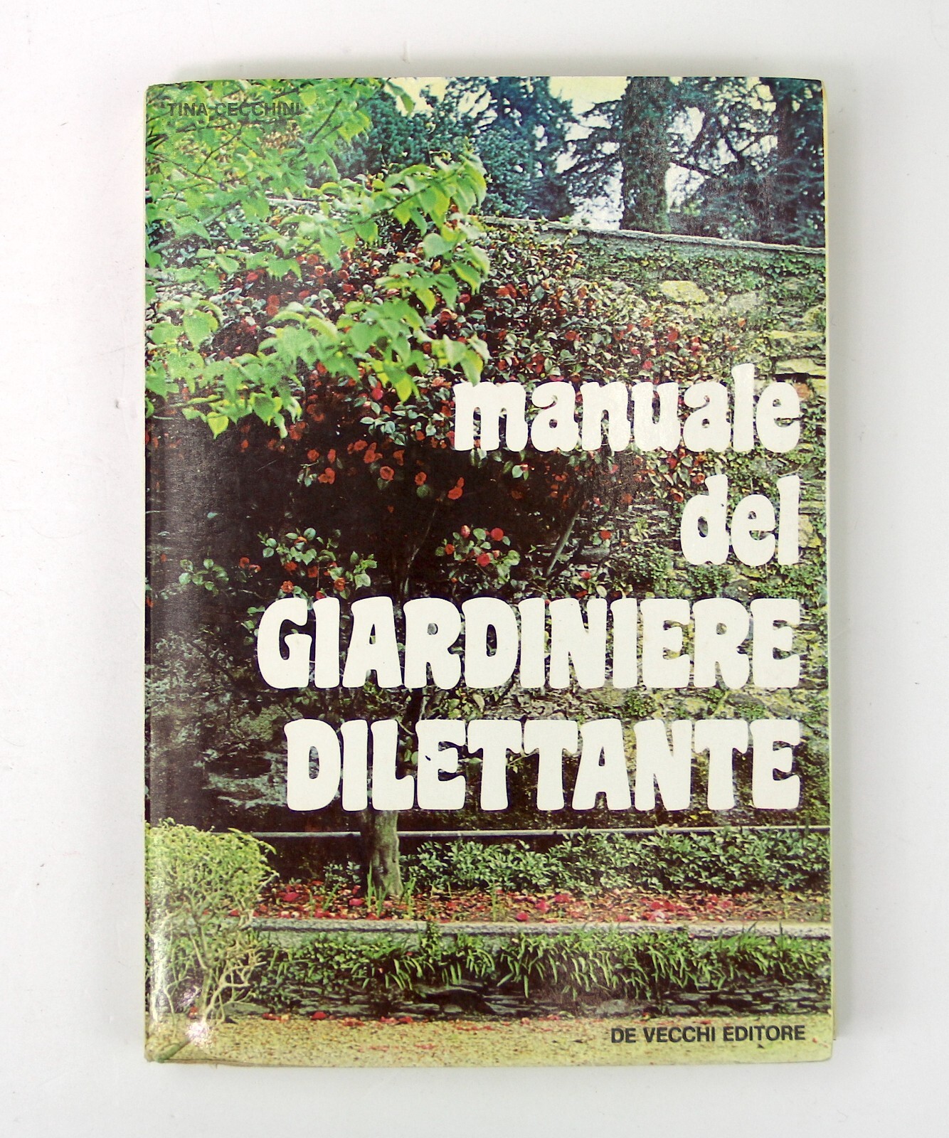 Foto 1 di 12