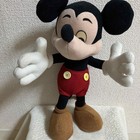 Foto 1 di 9