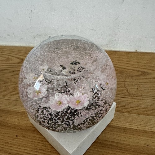 CoolSnowGlobes Schmetterling auf Ast Schneekugel Kirschblüten 4-7/8" hoch - Bild 4 von 13