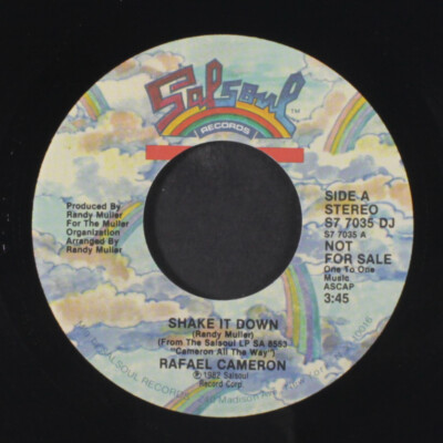 RAFAEL CAMERON: shake it down / mono SALSOUL 7'' Single 45 RPM