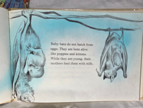 I Can Read About Series Troll Assoc 1973 Vintage Childrens Planets Animals Bats - Picture 19 of 24